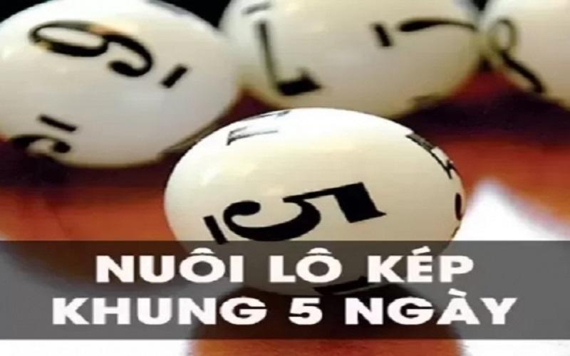 Khung Lo Kép 5 Ngày-2